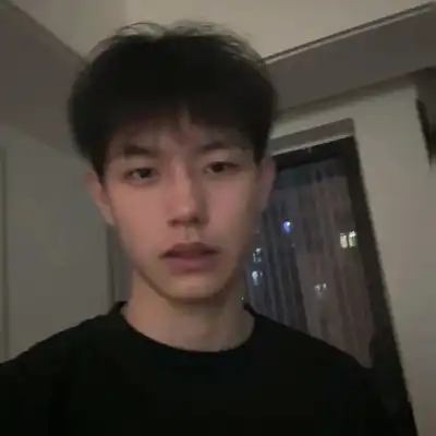 沈致